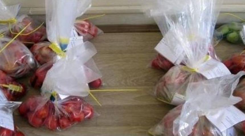 A&ccedil;ık Alanda Domates &Uuml;retiminde Ek&uuml;y &Ccedil;alışmaları Tamamlandı