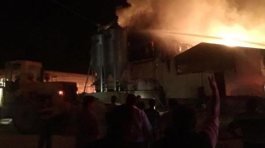 Yumurta &Ccedil;iftliği Yandı, 60 Bin Tavuk Telef Oldu