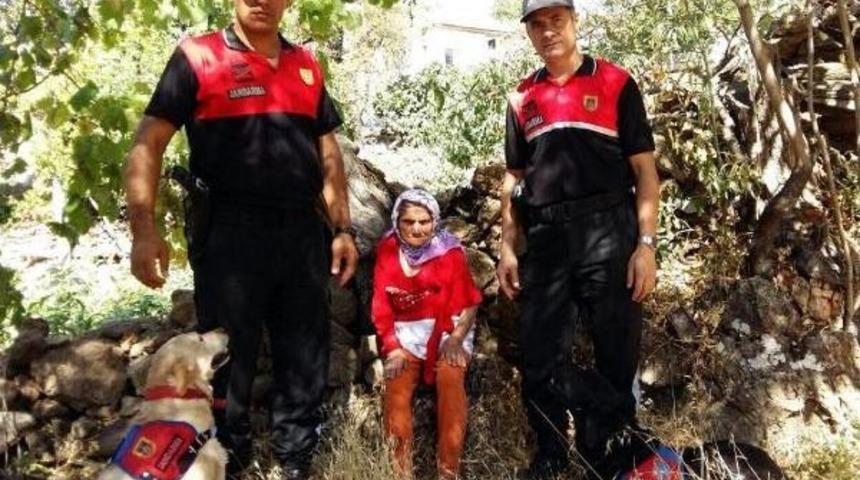 Kayıp Yaşlı Kadın Ormanda Bulundu