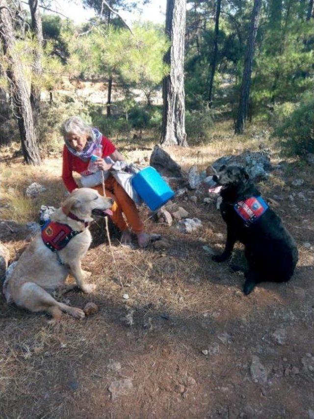 Kayıp Yaşlı Kadın Ormanda Bulundu