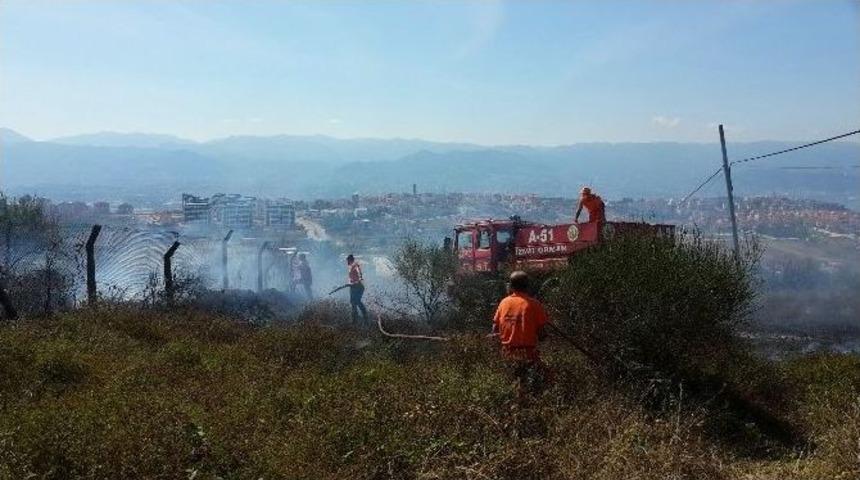 Otluk Alandaki Yangın Paniğe Neden Oldu
