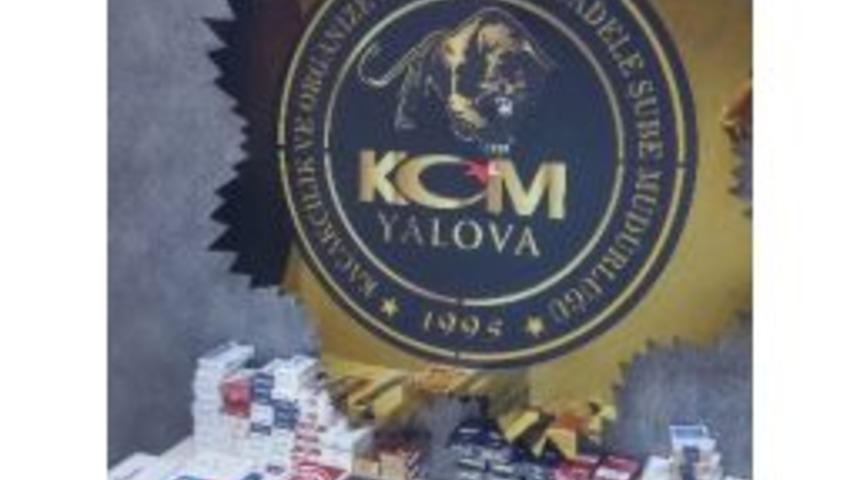 Yalova&rsquo;da Uyuşturucu Operasyonu