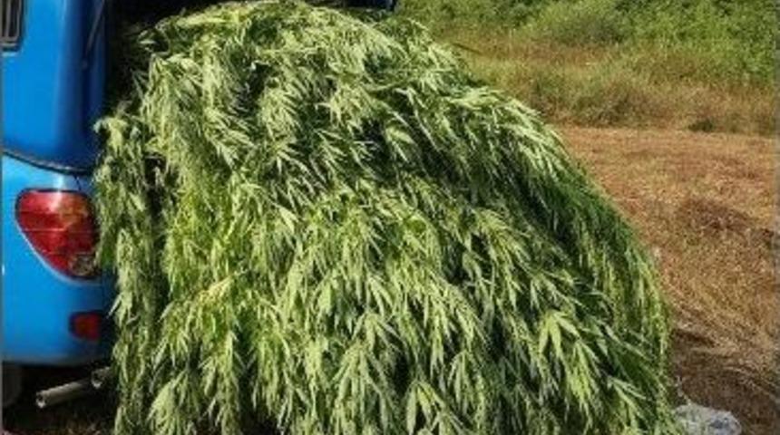 Kocaeli&rsquo;de Uyuşturucu Operasyonu