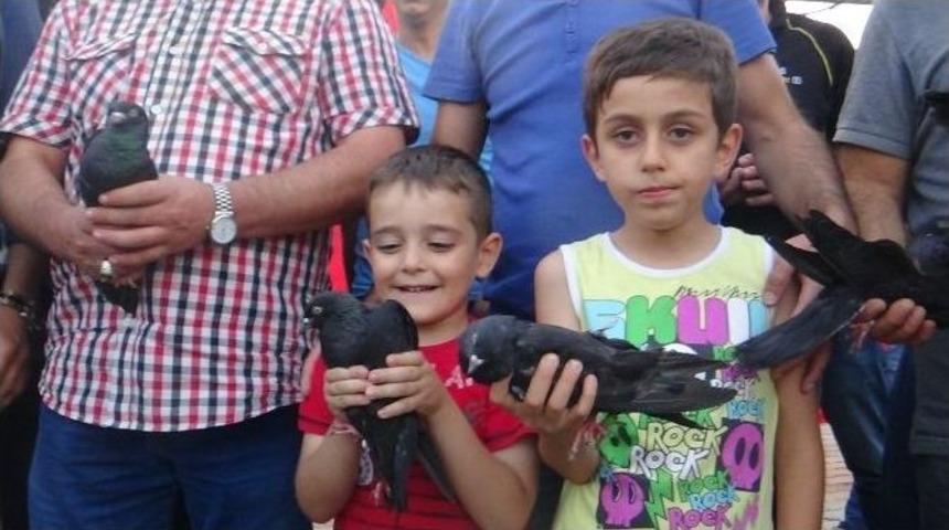 Şehitler İ&ccedil;in Siyah G&uuml;vercin U&ccedil;urdular