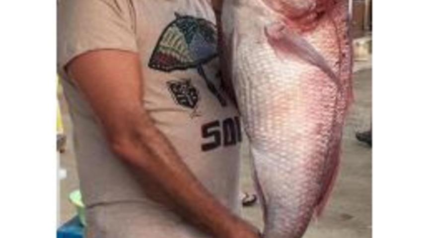 Oltayla 11 Kiloluk Tran&ccedil;a Balığını Avladı