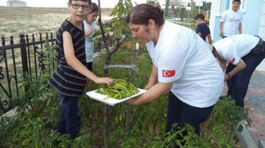 Hobi Bahçesi Engellilere Terapi Oluyor