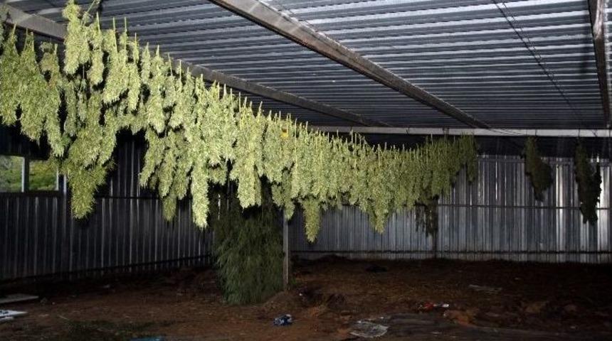 Kırklareli’de Uyuşturucu Operasyonu