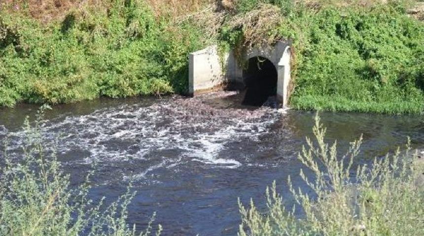 Samanlı Deresi Zehir Akıyor