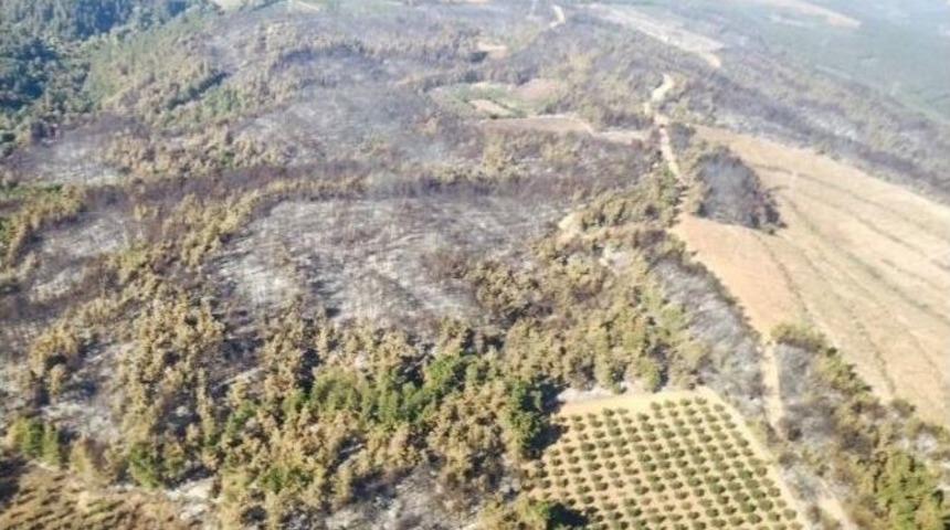Bursa&rsquo;da Yanan Alan A&ccedil;ıklanandan 4 Kat Fazla &Ccedil;ıktı