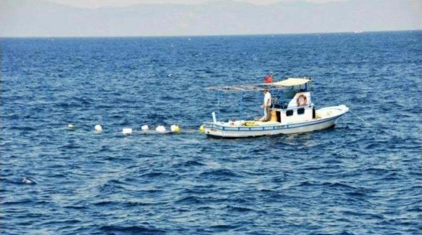 Kırmızı Mercanlar &Ouml;zg&uuml;rl&uuml;ğ&uuml;ne Kavuşturuluyor