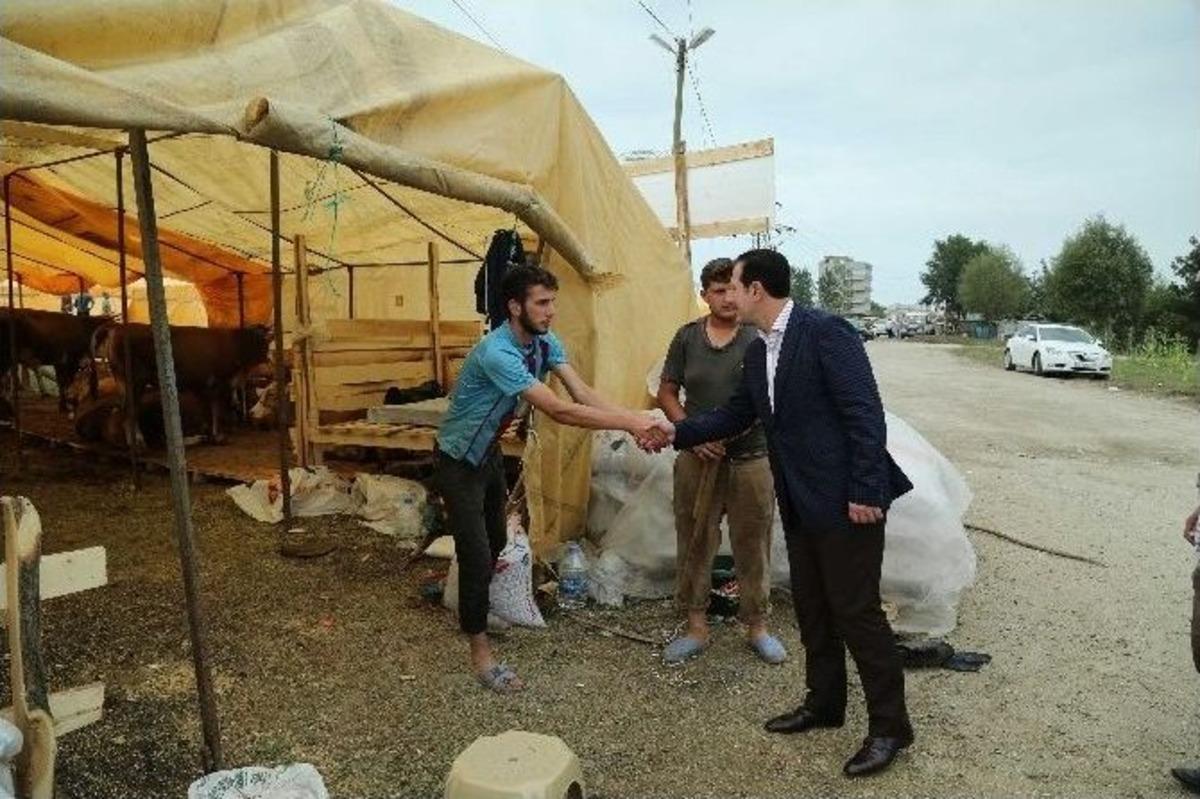 Başkan Tok Kurban Pazarında İncelemelerde Bulundu