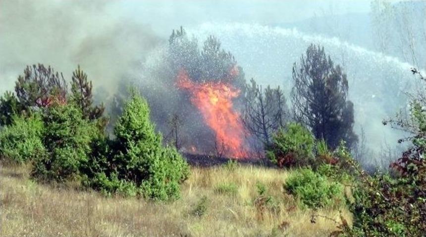 Bolu&rsquo;da Orman Yangını Son Anda S&ouml;nd&uuml;r&uuml;ld&uuml;