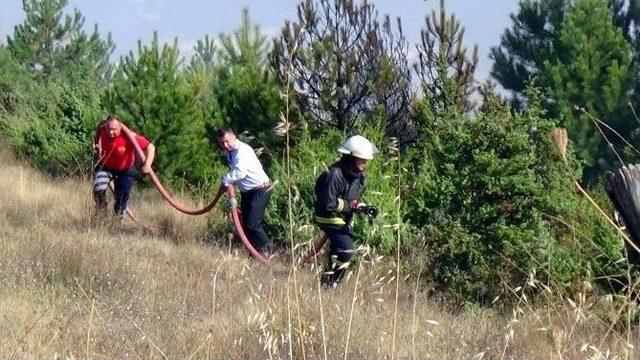 Bolu’da Orman Yangını Son Anda Söndürüldü