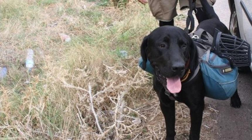 Y&uuml;r&uuml;yerek Balkanları Ve T&uuml;rkiye&rsquo;yi Geziyor