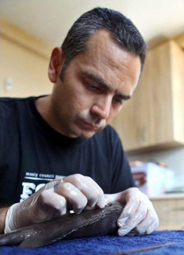 Havuz Koşullarında &ldquo;lagos&rdquo; &Uuml;retilecek 1