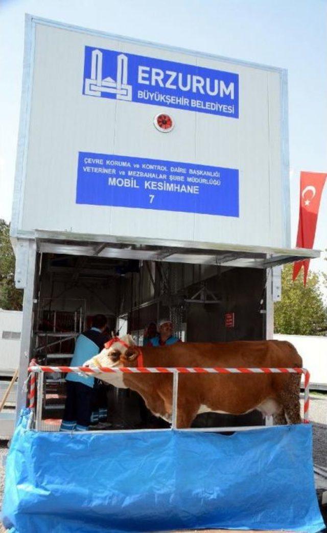 Erzurum'da Kurbanlara, Mobil Kesim