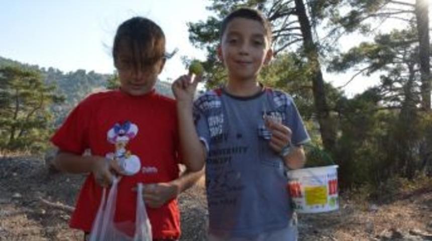 Okul Har&ccedil;lıklarını İncirden &Ccedil;ıkarıyorlar
