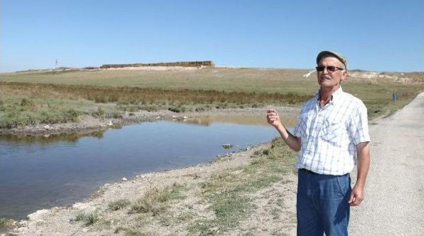 Yenikapan Mahallesinin Mera M&uuml;cadelesi