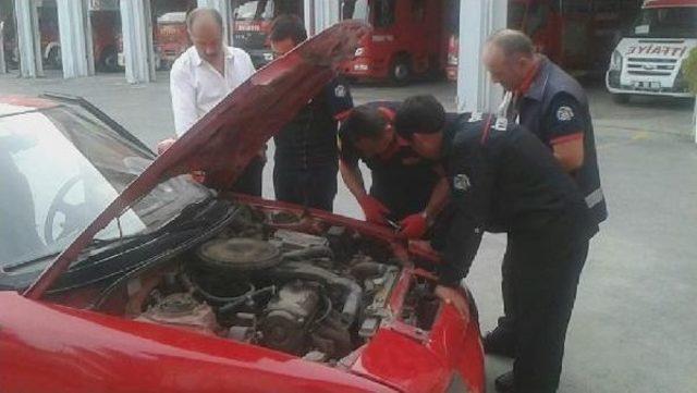 Otomobilinde Sıkışan Kedi Için Itfaiyeye Gitti 1