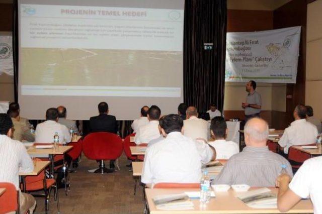 Gaziantep’Te, kaplumbağa Çalıştayı 1