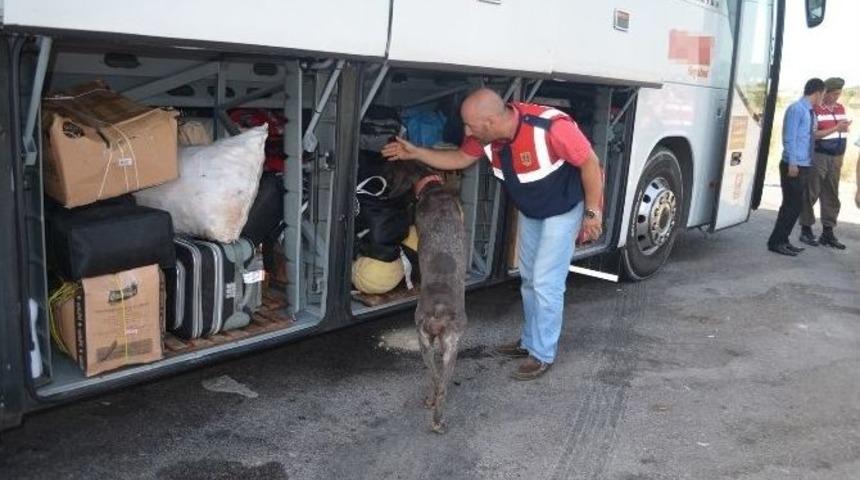 &Uuml;&ccedil; Kilo Kubar Esrar Vicdan&rsquo;a Takıldı