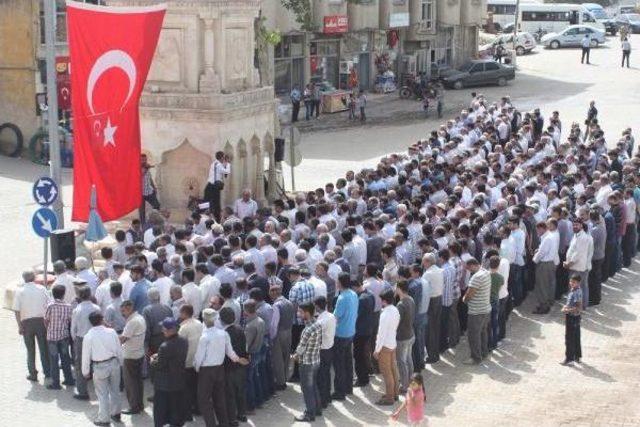 Çelikhan’Da Şehitler Için Gıyabi Cenaze Namazı Kılındı