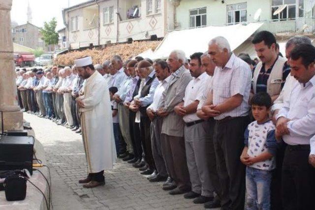 Çelikhan’Da Şehitler Için Gıyabi Cenaze Namazı Kılındı