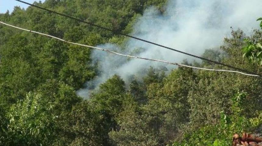 Gölcük'teki Orman Yangını Havadan Ve Karadan Yapılan Müdahele Ile Söndürüldü