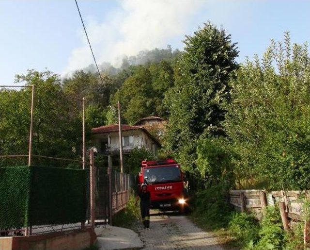 Gölcük'teki Orman Yangını Havadan Ve Karadan Yapılan Müdahele Ile Söndürüldü