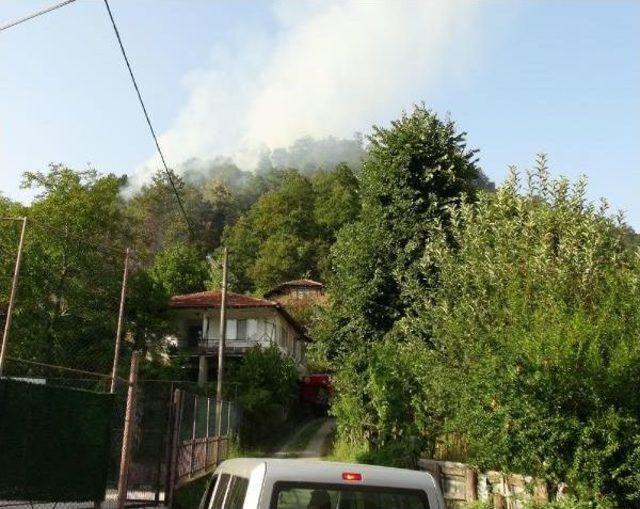 Gölcük'teki Orman Yangını Havadan Ve Karadan Yapılan Müdahele Ile Söndürüldü