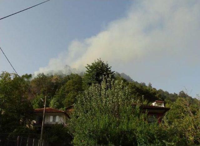 Gölcük'teki Orman Yangını Havadan Ve Karadan Yapılan Müdahele Ile Söndürüldü