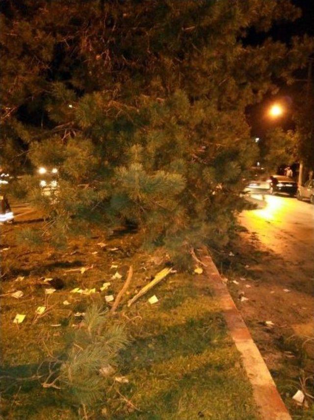 Afyonkarahisar’da Trafik Kazası:2 Yaralı