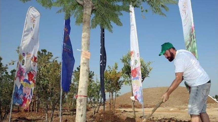 Alman Dj, Expo 2016 Antalya Alanına &lsquo;jacaranda&rdquo; Dikti