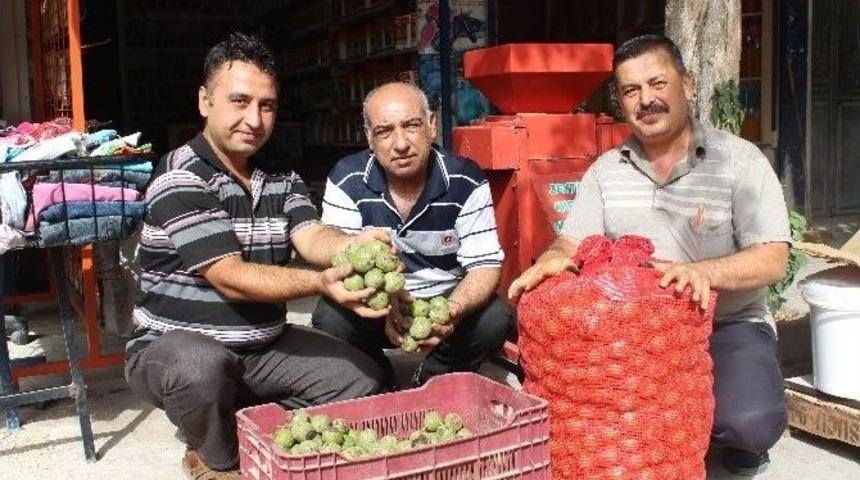 Yeni Mahsul Ceviz Piyasaya &Ccedil;ıktı