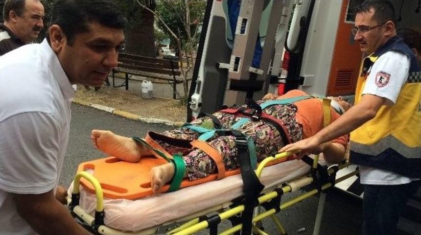 İncir Toplarken 5 Metreden D&uuml;şt&uuml;