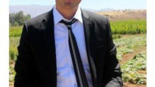 Akkışla’da Yaprak Bitine Karşı Parazitoit Üretimi Başladı