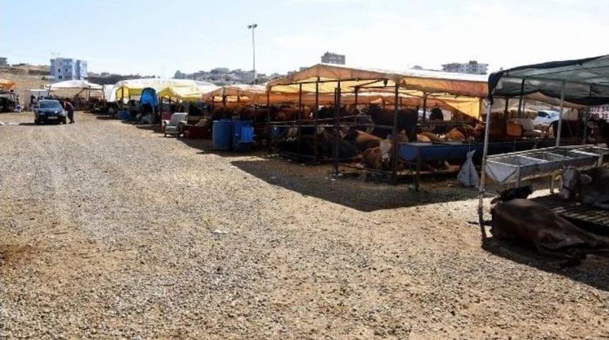 Aliağa&rsquo;da Kurban Satış Ve Kesim Yerleri Belirlendi