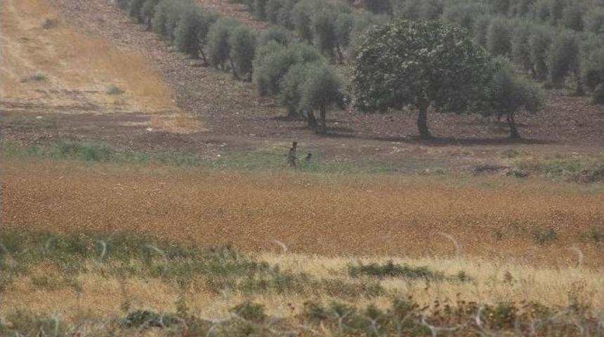 Sınırın Suriye Tarafında Şiddetli &Ccedil;atışmalar