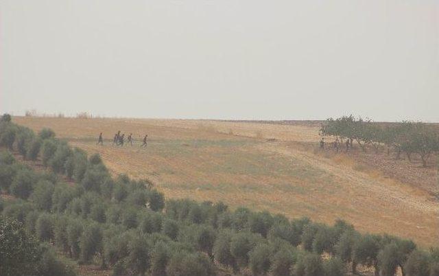 Sınırın Suriye Tarafında Şiddetli Çatışmalar