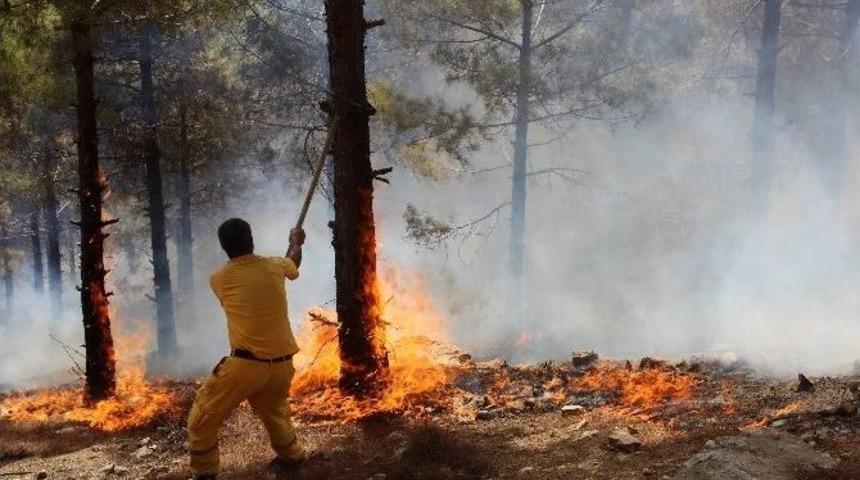 Adıyaman&rsquo;da Orman Yangını