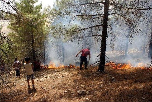 Adıyaman’da Orman Yangını