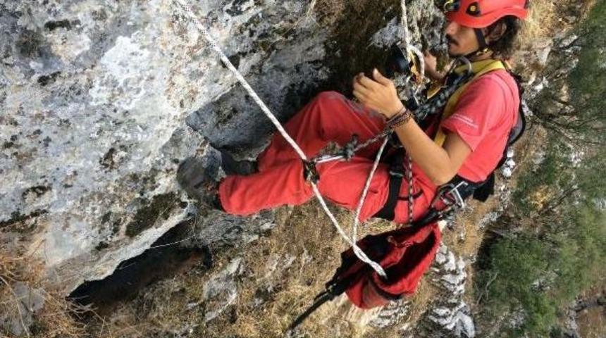 Kayalıklarda Mahsur Kalan Oğlağı Akut Kurtardı