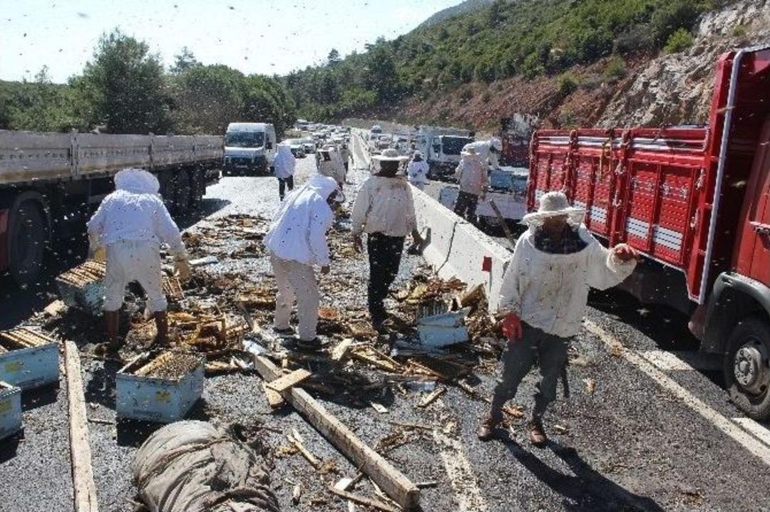 Arı Y&uuml;kl&uuml; Kamyon Devrildi, 18 Kişiyi Arı Soktu