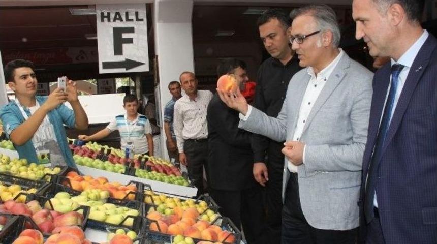 İneg&ouml;l Tarım Fuarı Kapılarını A&ccedil;tı