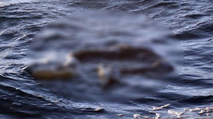 G&ouml;kova K&ouml;rfezi&rsquo;nde Ceset Bulundu