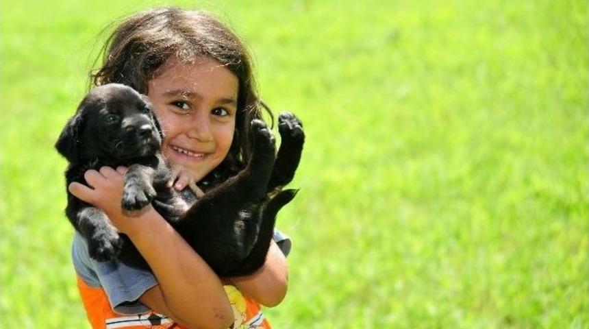 Kepez&rsquo;de Hayvanlar Koruma Altında