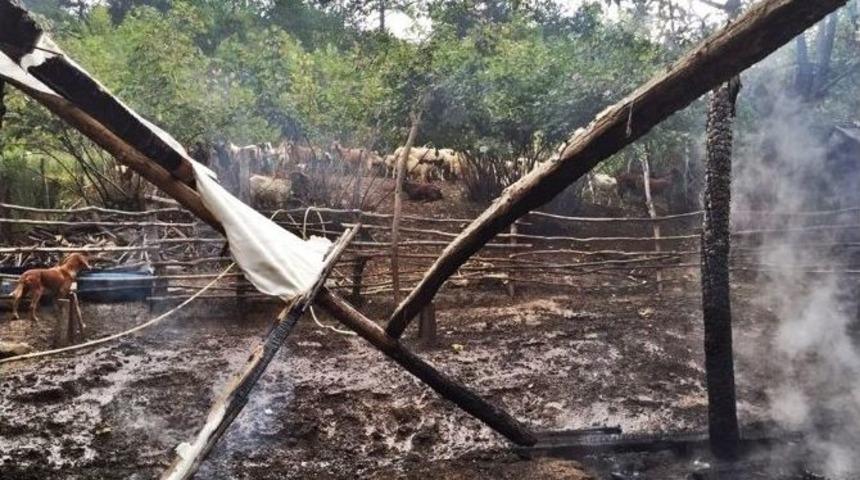 Ahır Yangınında 6 Hayvan Telef Oldu