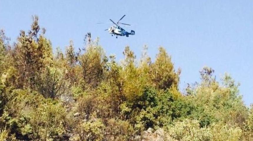 İslahiye'de Orman Yangını
