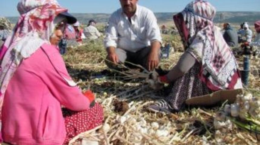 (&ouml;zel) Mevsimlik İş&ccedil;iler D&ouml;n&uuml;ş Yolunda