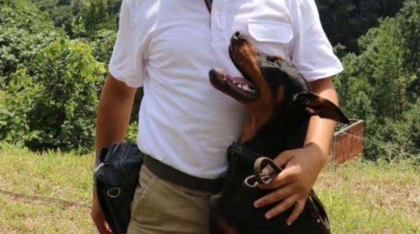 K&ouml;peklere 'insanmış Gibi' Davranmayın Uyarısı
